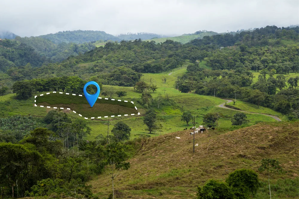 verify-land-ownership-bangladesh